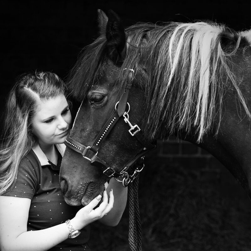 BLACK AND WHITE HORSE PHOTOGRAPHY