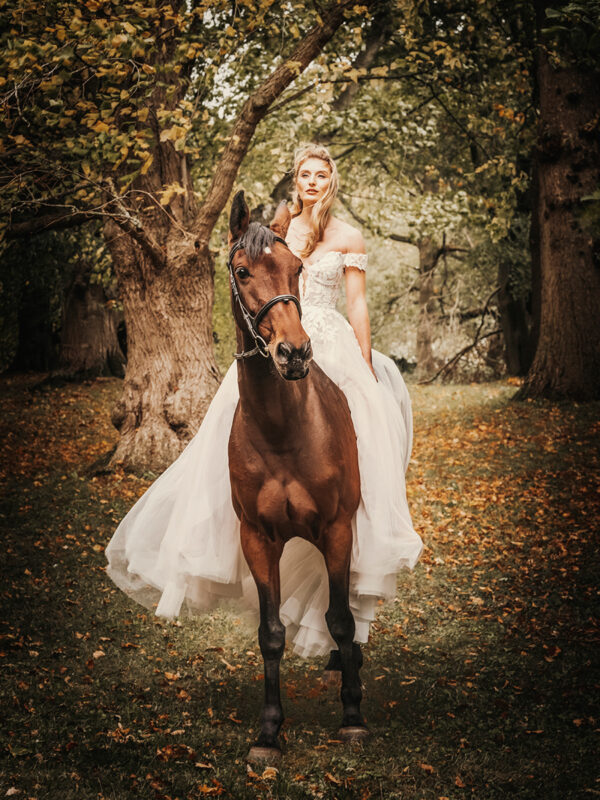 bride and horse wedding photography