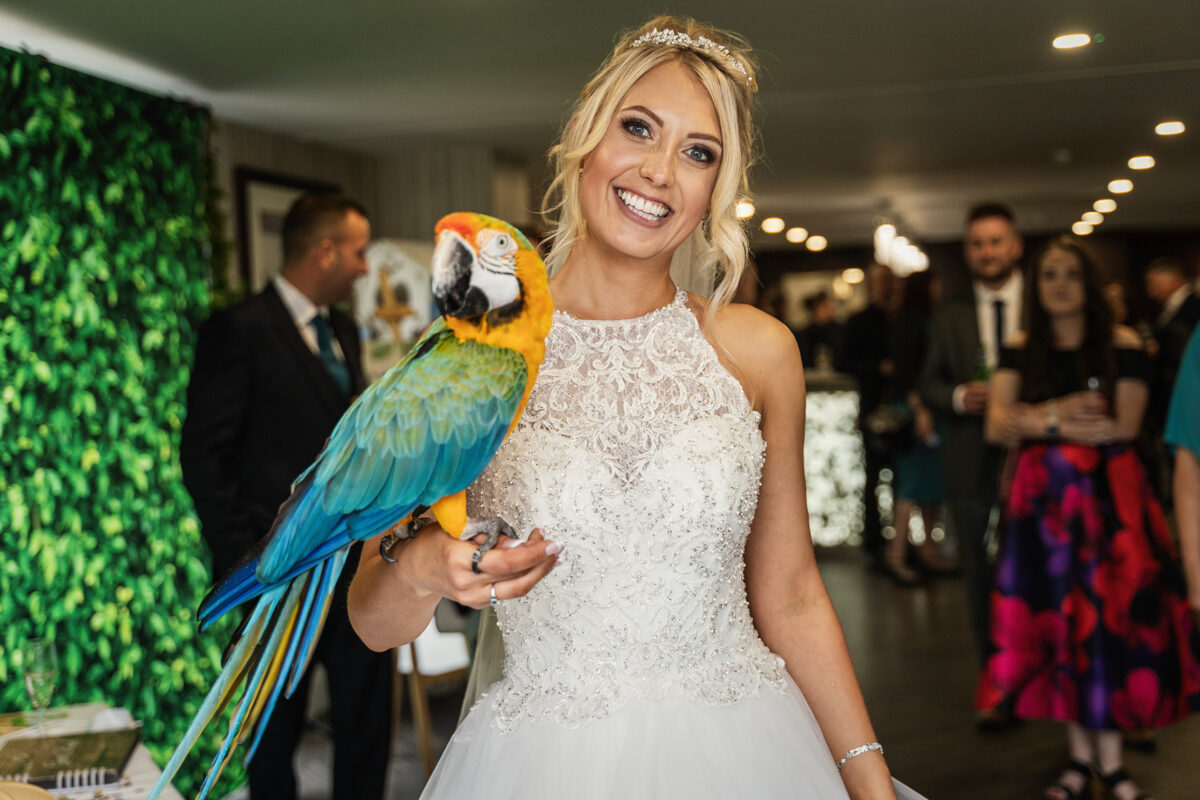 Merrydale Manor pet friendly wedding venue