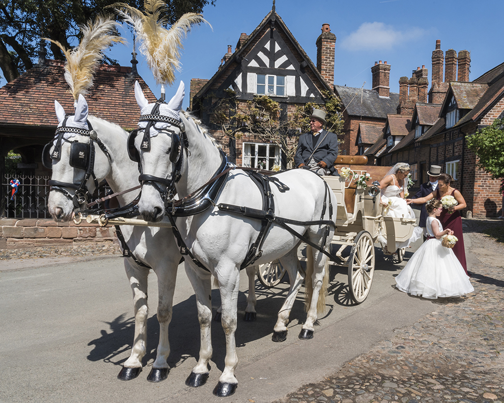 horse and carriage wedding alley hall