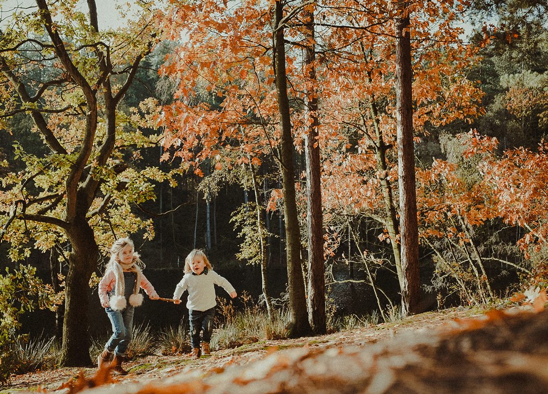 Location Photographer Cheshire - Delamere