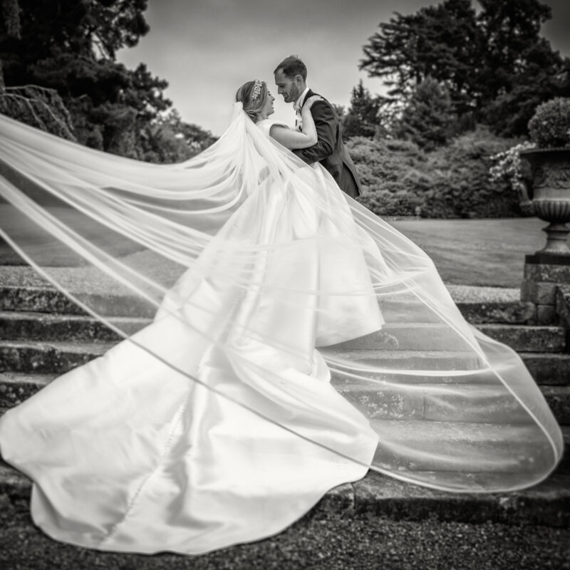 best wedding veil pronovias