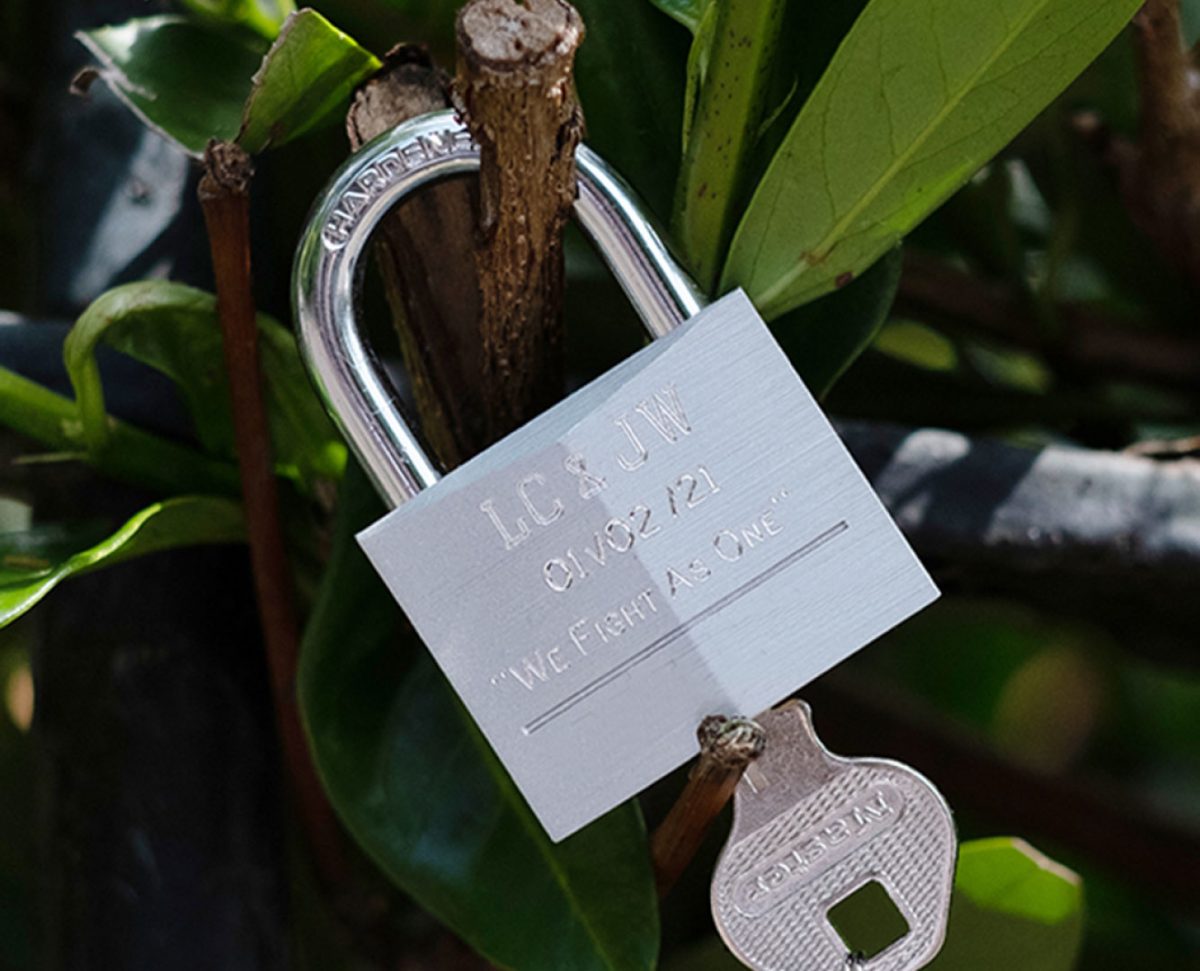 Engagament Photography